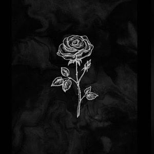 Meet your Posher, Faisal